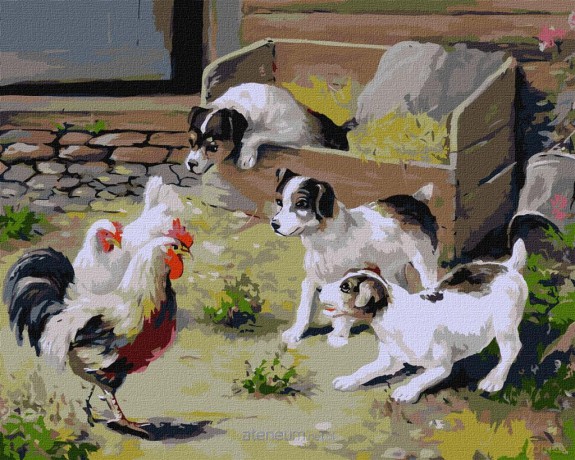Malowanie po numerach - Spotkanie 40x40 cm