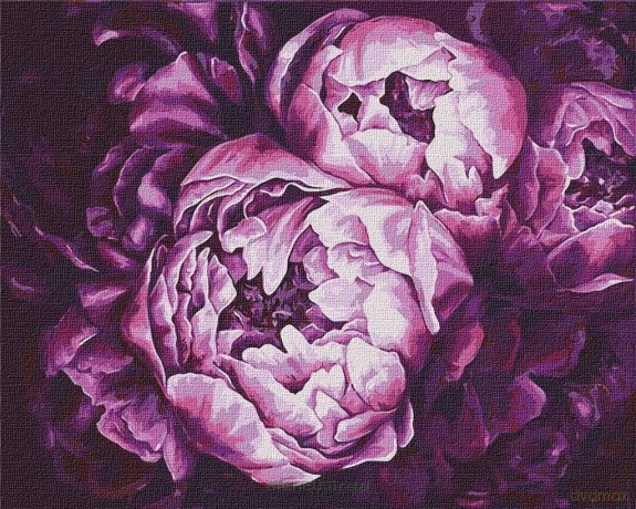 Malowanie po numerach - Szaleństwo kolorów 40x40 cm