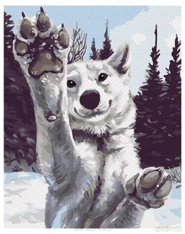 Malowanie po numerach - Śliczny wilk 40x50 cm