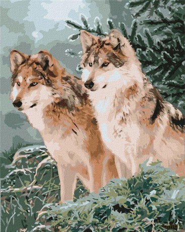 Malowanie po numerach - Wilcze spojrzenie 40x50 cm