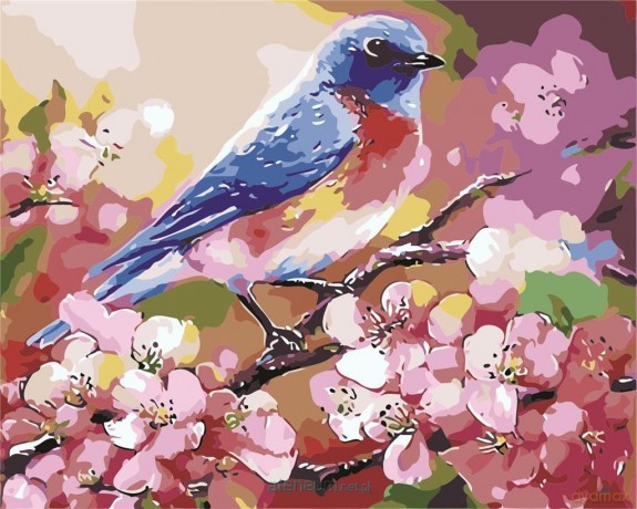 Malowanie po numerach - Wiosenny ptaszek 40x50 cm