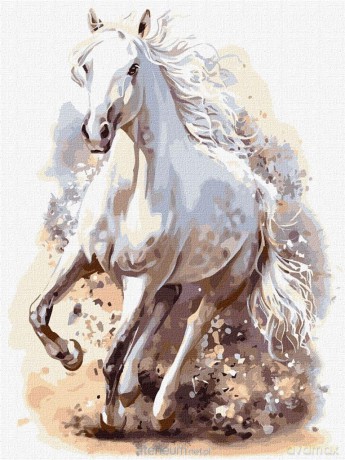 Malowanie po numerach - Wyrafinowana moc 30x40 cm