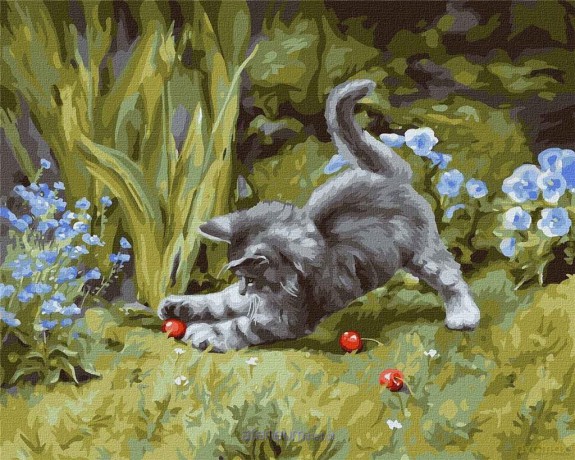 Malowanie po numerach - Zabawny kotek 40x50 cm