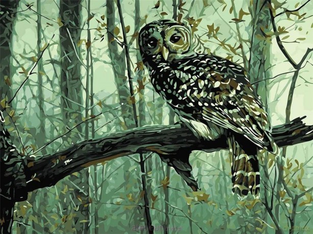Malowanie po numerach - Zaspana sowa 30x40 cm