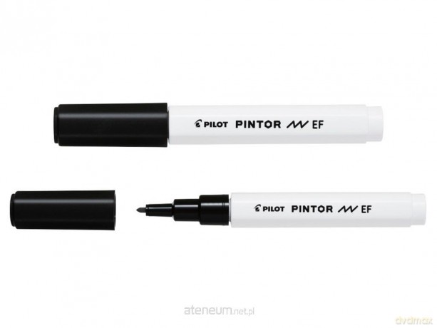 Marker Pintor EF czarny