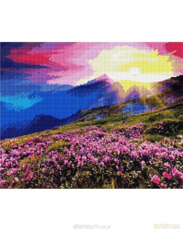 Mozaika diamentowa - Dolina Kwiatów 40x50 cm