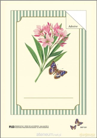 Naklejki dekoracyjne BKP 001 Motyl 6 szt