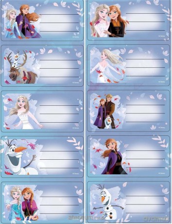 Naklejki na zeszyty Frozen
