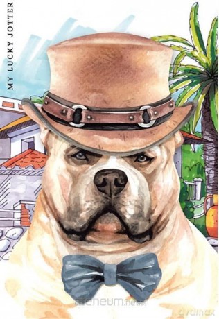 Notatnik ozdobny 105x165/64K kratka Amstaff