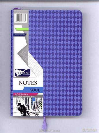 Notes A6/96 Soul liliowy kratka