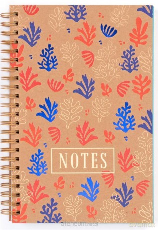 Notes Abstract II