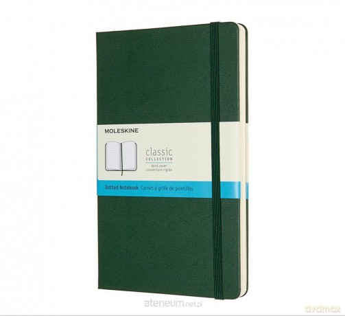 Notes Classic L 13x21 tw. kropki mirtowa zieleń