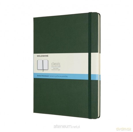 Notes Classic XL 19x25 tw. kropki myrtle green
