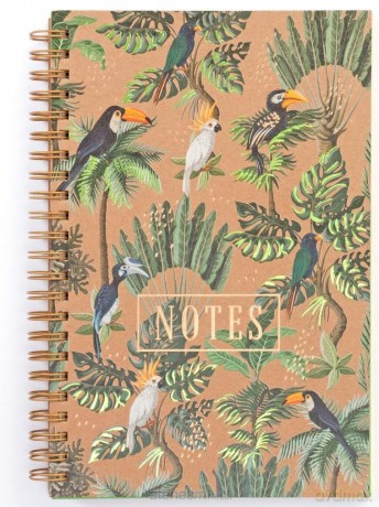 Notes Jungle II