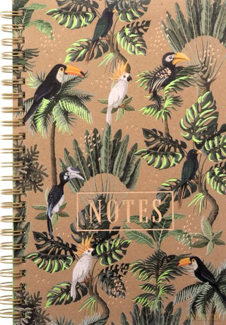 Notes Jungle II