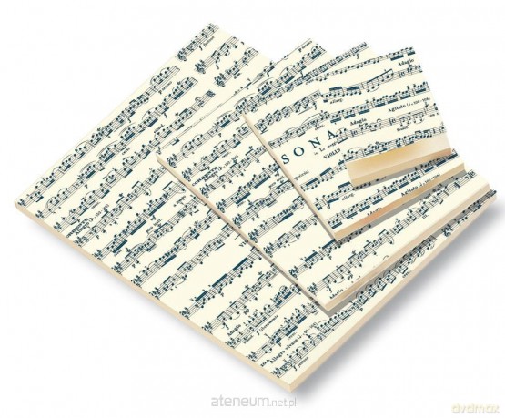 Notes ozdobny A5 BR NP V20 C Muzyka