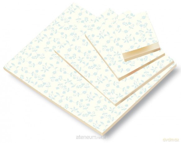 Notes ozdobny A6 BR NP L01 B