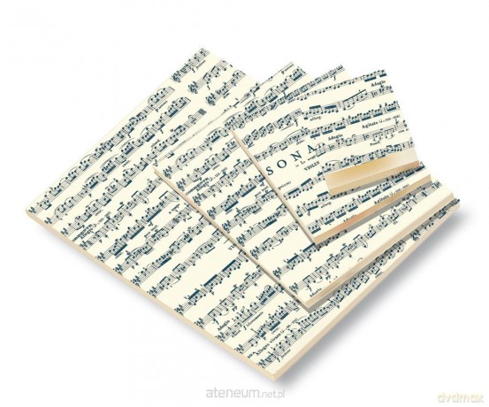 Notes ozdobny A6 BR NP V20 B Muzyka