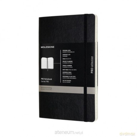 Notes Professional 13x21 czarny