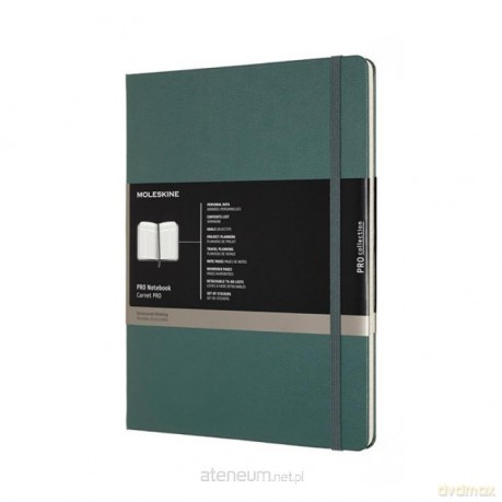 Notes Professional 19x25 tw. zielony