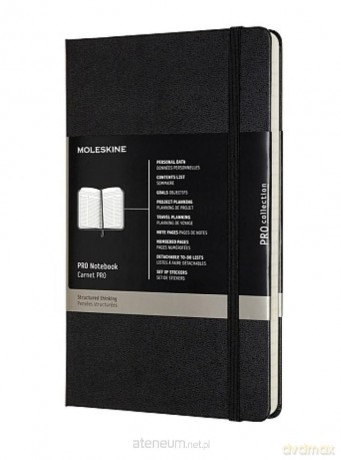 Notes Proffesional L 13x21 tw. czarny