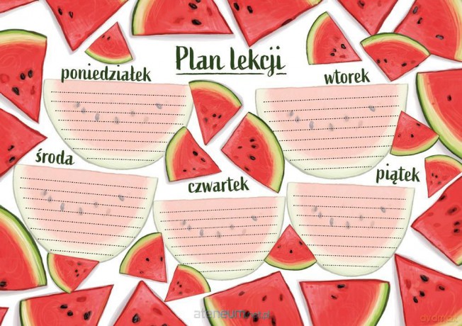 Plan lekcji - Arbuzy (5 szt)
