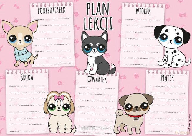 Plan lekcji - Pieski (5 szt)