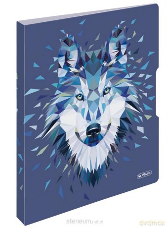 Segregator A4 2,5 cm Wild Animals Wolf