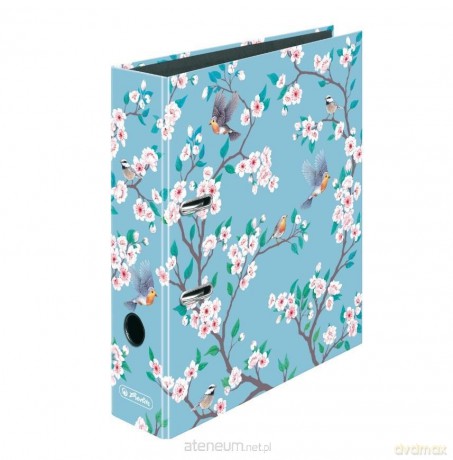 Segregator A4 8 cm Ladylike Birds max file
