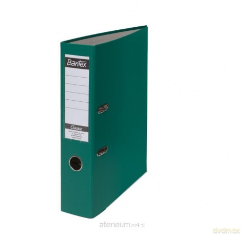 Segregator A4 Budget 5 cm zielony