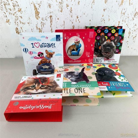 Segregator A5/2R Best Friend Collection mix