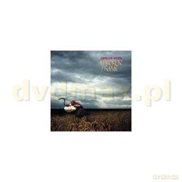 Depeche Mode: A Broken Frame [Winyl]