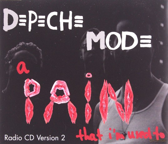 Depeche Mode: A Pain That I'm Used To (3 Tracks) [DVD]