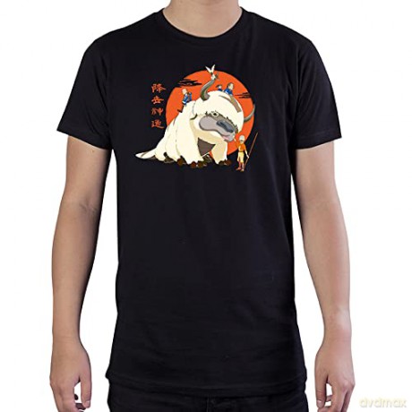 AVATAR - Tshirt Appa man SS black - basic