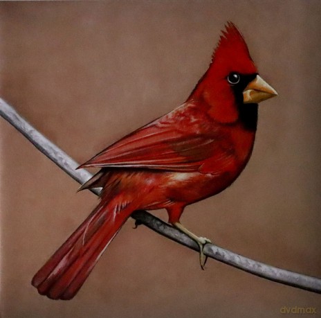 Alexisonfire: Old Crows Young Cardinals [2xWinyl]