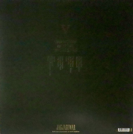 Unknown Mortal Orchestra: V (Blue) [2xWinyl]