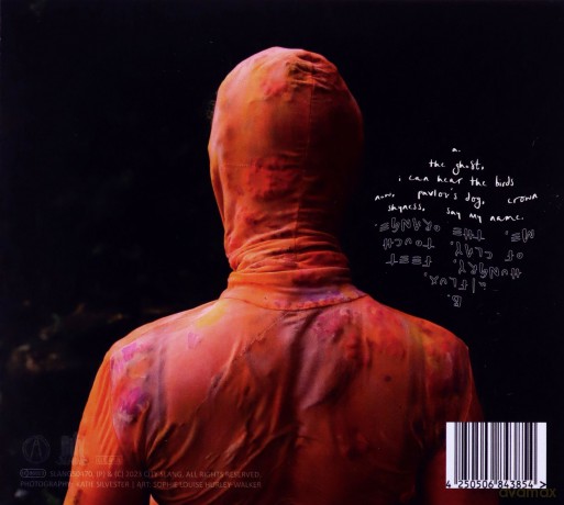Anna B Savage: In FLUX [CD]