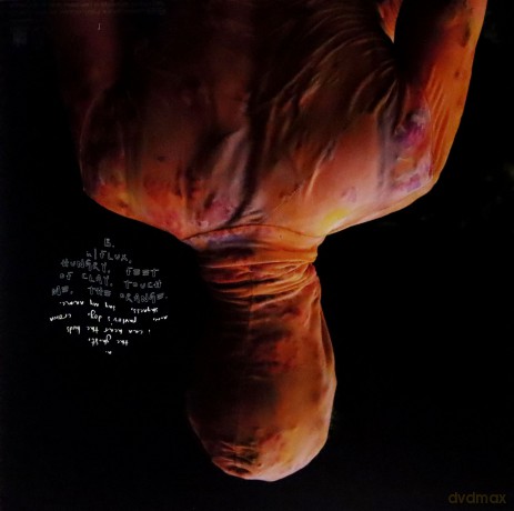 Anna B Savage: In FLUX [Winyl]