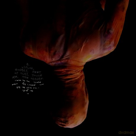Anna B Savage: In FLUX (Limited) [Winyl]