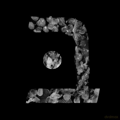 Bastarda: Nizozot (digipack) [3CD]