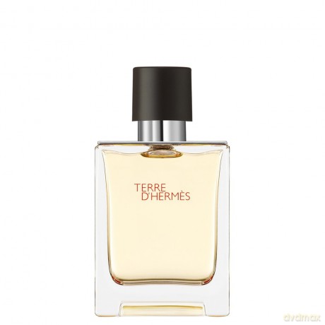 Hermes Terre D`Hermes Woda toaletowa for Man - 50 ml
