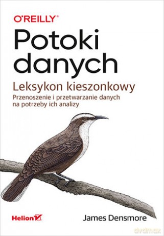 Potoki danych. Leksykon kieszonkowy. Przenoszenie i przetwarzanie danych na potrzeby ich analizy - James Densmore [KSIĄŻKA]