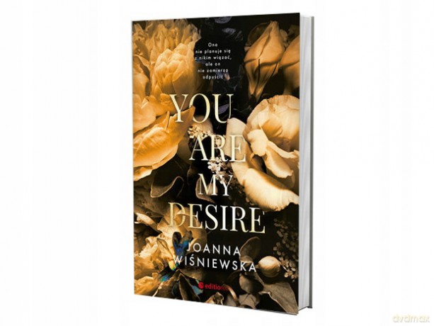 You are my desire - Joanna Winiewska [KSIĄŻKA]