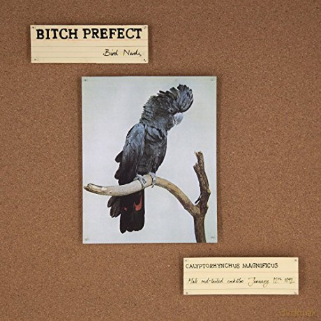 Bitch Prefect: Bird Nerds [CD]