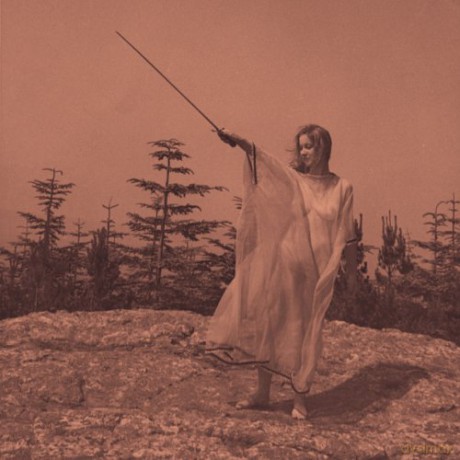 Unknown Mortal Orchestra: II [CD]
