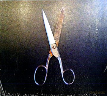 Fornari: L'Interruzione [CD]