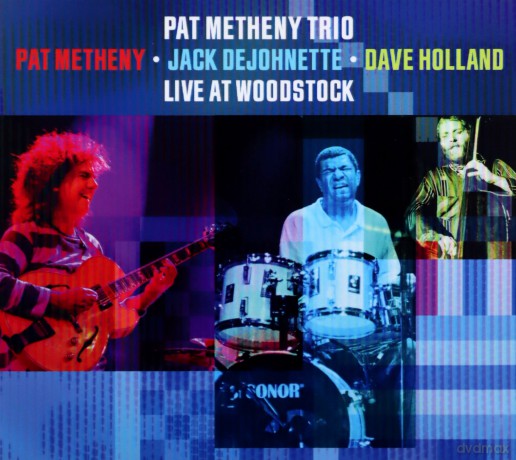 Pat Metheny Trio: Live At Woodstock [CD]