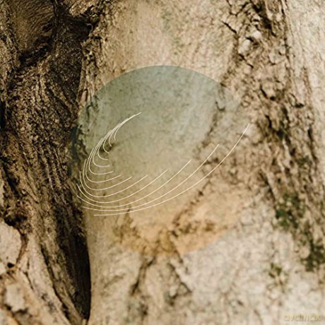 Field Works: Maples, Ash, And Oaks: Cedars Instrumentals [CD]