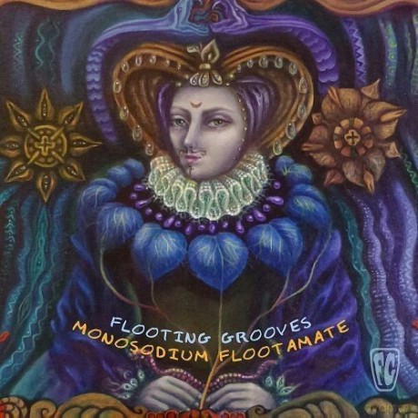 Flooting Grooves: Monosodium Flootamate [CD]