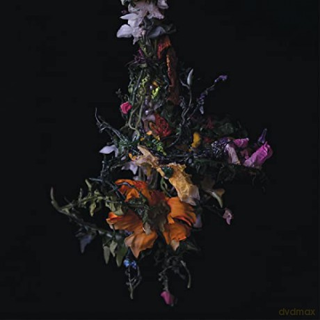 Big Brave: Nature Morte [CD]